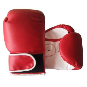 Boxing gloves